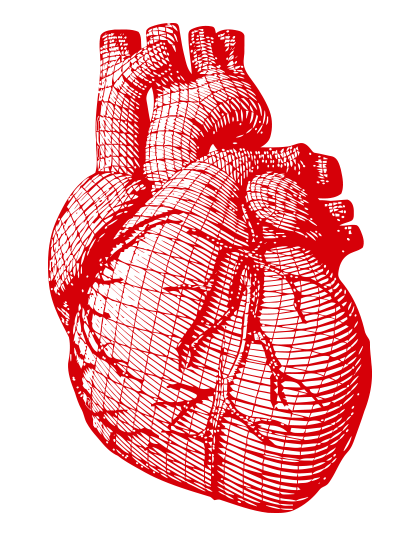 corazon